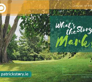 What's the Story Mark? (Pack of 10/50/100)